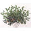 Ensemble de 6 branches d'eucalyptus artificiel