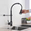 Belfry Kitchen Bublava Kitchen Faucet Side Spray