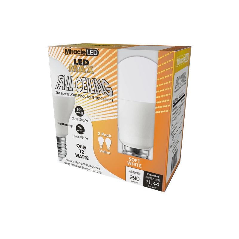 100 Watt Equivalent E26/Medium (Standard) LED Light Bulb
