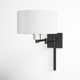 Kevyn Single Light Steel Dimmable Swing Arm Sconce