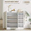 12 Pair Shoe Storage Cabinet