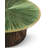 Verdure Cocktail Table