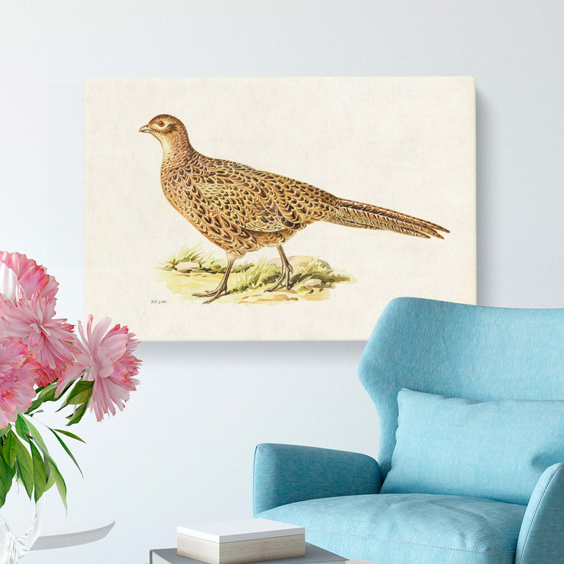 Pheasant by Von Wright - Wrapped Canvas, 35cm H x 50cm W x 3cm D