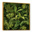Rainforest Jungle Plants Landscape 1 - Jungle, art mural-201778388-201778216