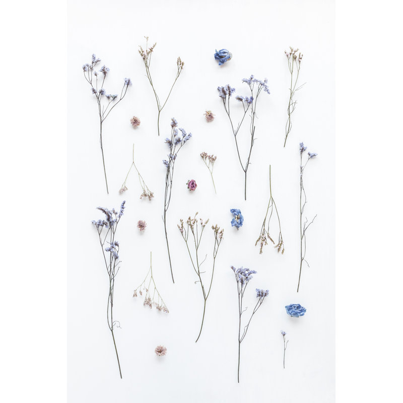Fleurs séchées - photographie sur toile tendue, H 30 po x l 20 po
