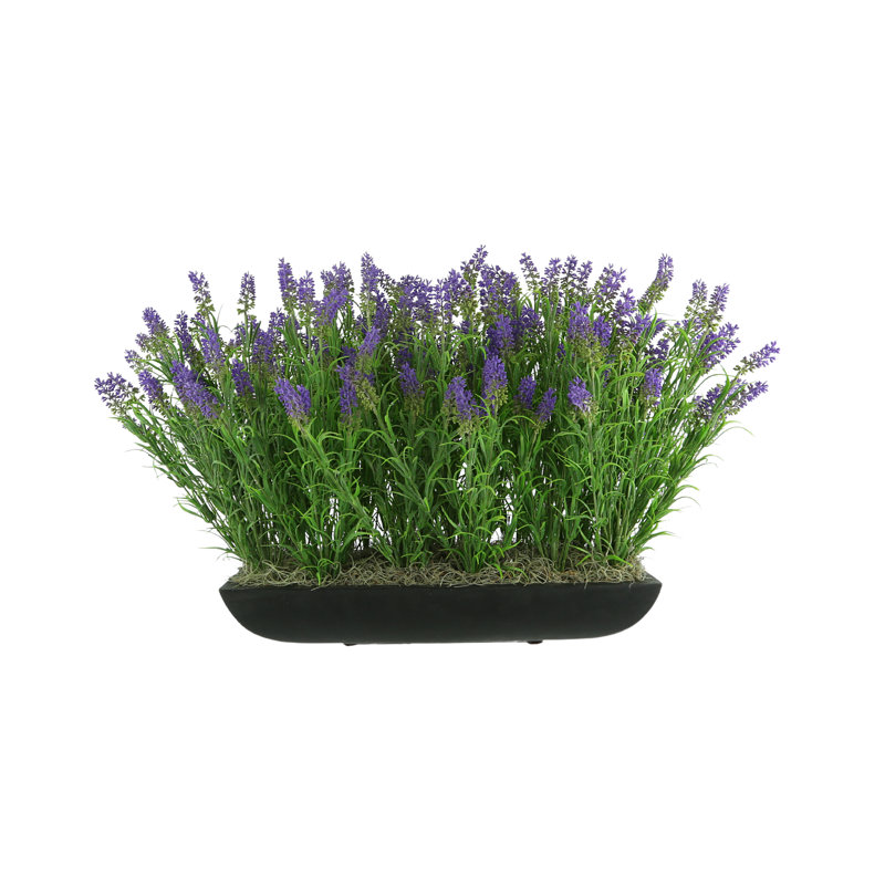 Outdoor UV-Rated Lavender in Rectangular Planter