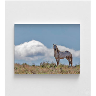 Photographie de cheval sauvage, impression de bureau de grand-mère rustique, impression encadrée de cheval blanc, art mural occidental, décoration murale chambre équestre