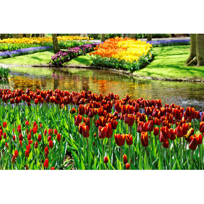 Magnifique jardin avec plusieurs tulipes colorées et un lac - Photographie sur toile tendue