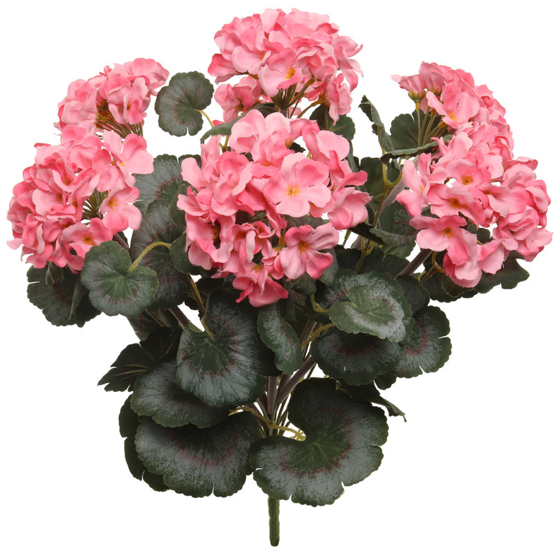 Hydrangea Arrangement