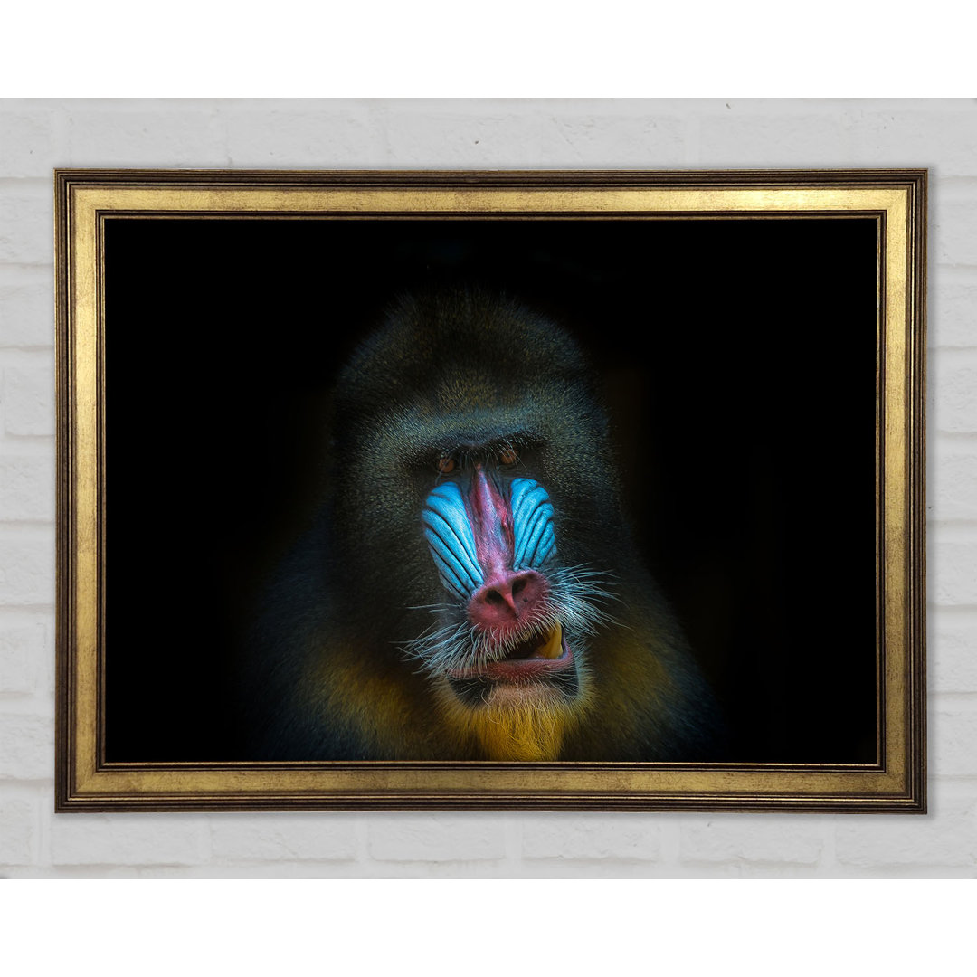 Mandrill Anger - Drucken