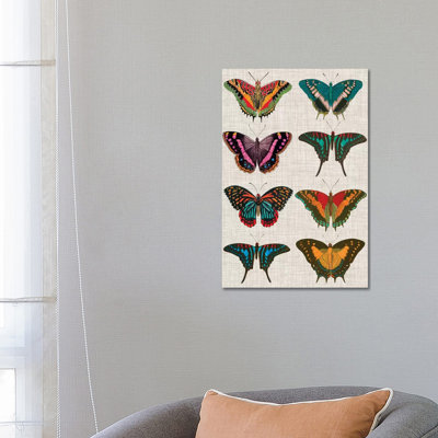 Polychrome Butterflies II by Vision Studio - Wrapped Canvas Painting
