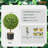 24" Artificial Boxwood Topiary in Pot-132569596
