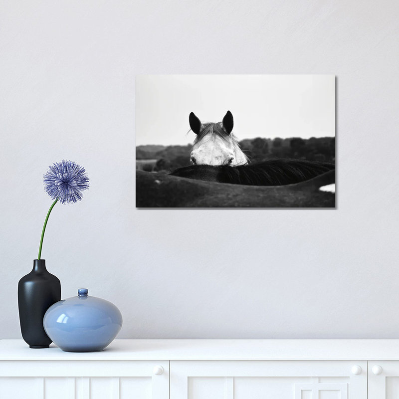 Flirt by Aledanda - Wrapped Canvas Print, 30.48 cm H x 45.72 cm W