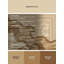 Tapis oriental doux et moelleux de style oriental Elwell - reliure beige-1705484672
