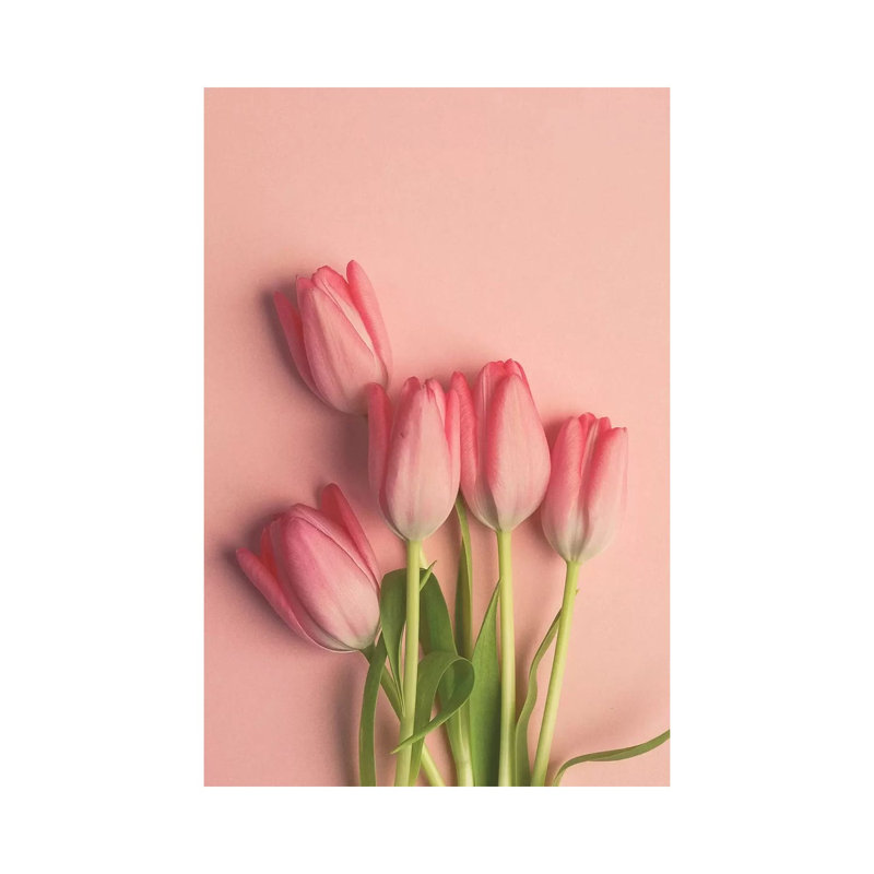 Pink Tulips on Pink 1 Piece Wrapped Canvas Wall Art, 20.32 cm H x 30.48 cm W