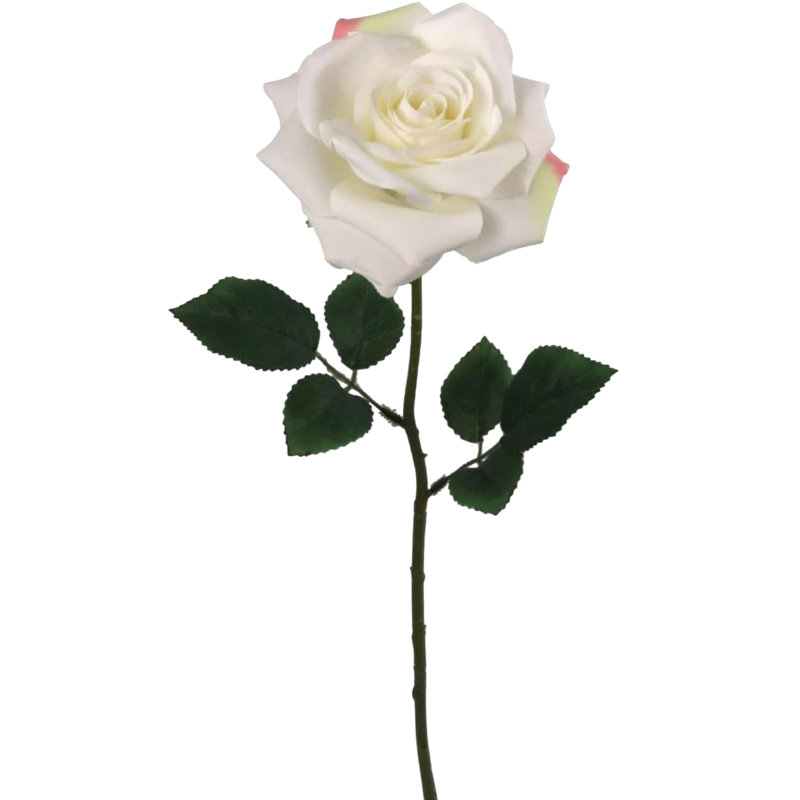 Tige de roses