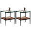 Ensemble de 3 tables basses et tables de bout, table en verre trempé avec panneau de fibres à densité moyenne, tables modernes pour le salon, verre transparent-121050284