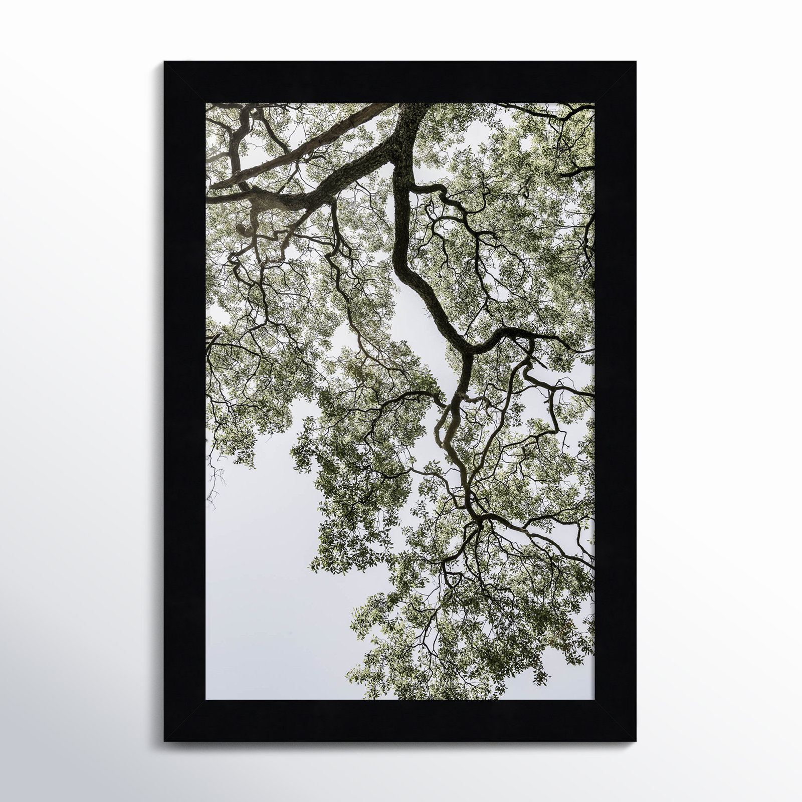 Pleasantville "Coastal Forest" Print, Black, 13" H x 9" W