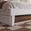 Phoenix Wood Platform Bed with Trundle-223210853-223210854