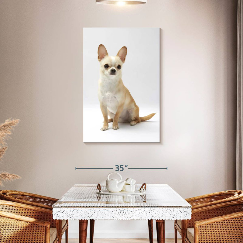 Brampt Seated Chihuahua, 45" H x 30" W