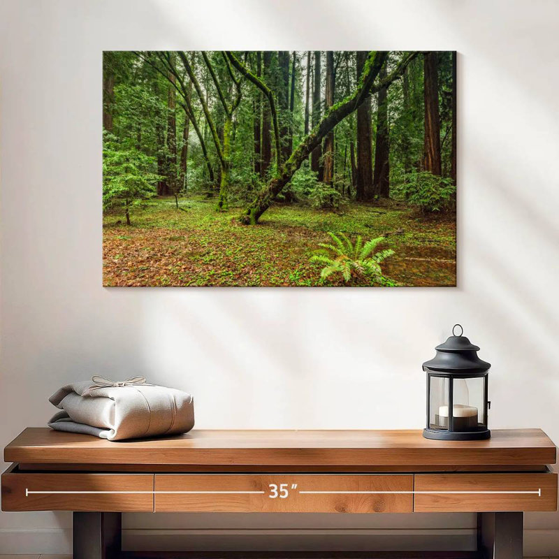 Forêt Alvord Muir Woods, H 16 po x l 24 po
