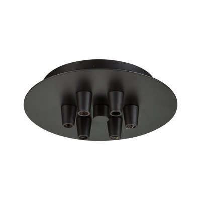 6 Light Multi Port Canopy