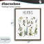 Herbs Identification Chart Floating Frame, design by Carol Robinson-872016728-872016709