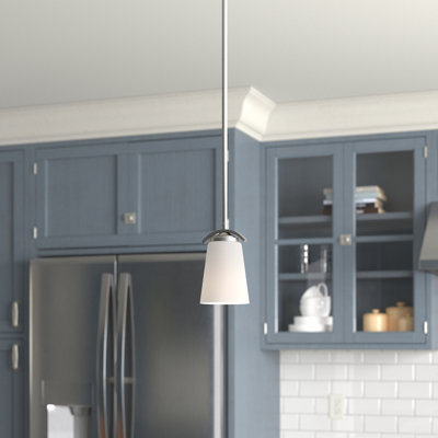 Luminaire suspendu en forme de cloche à 1 lumière Raborn