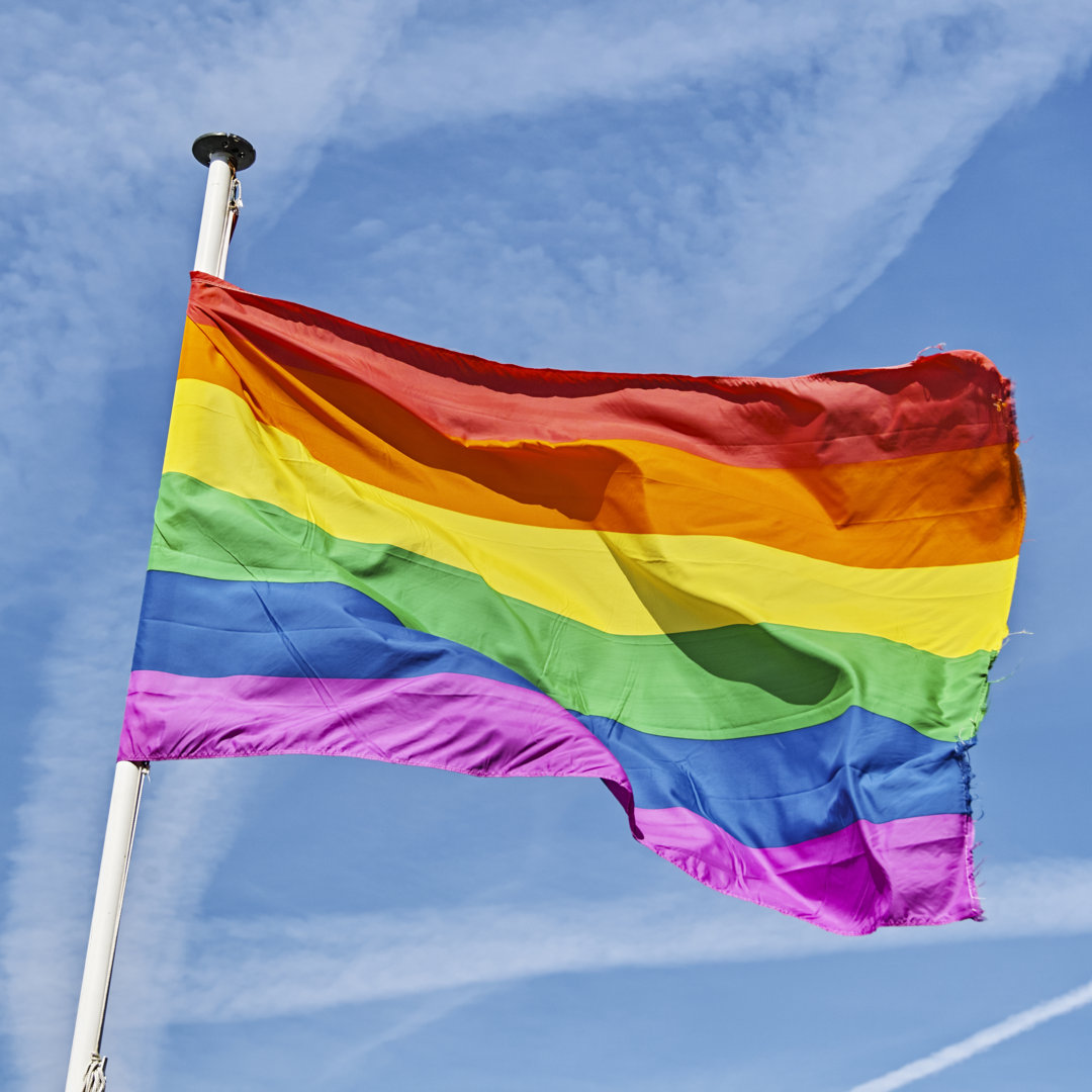 LGBTQIA Pride Flag von Jareck - Kunstdrucke auf Leinwand