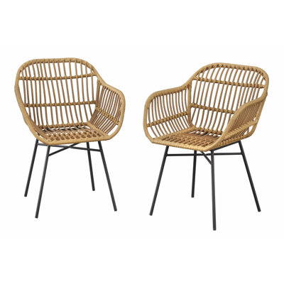 Shady 18'' H Armchair