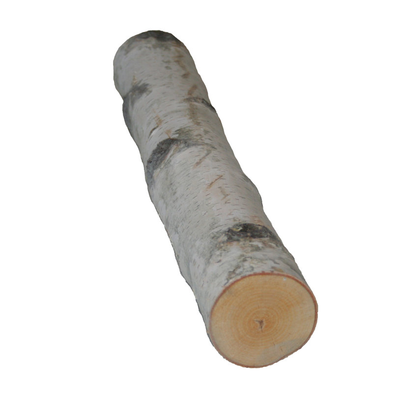 Wilson Maegan Birch Log 14" Sculpture