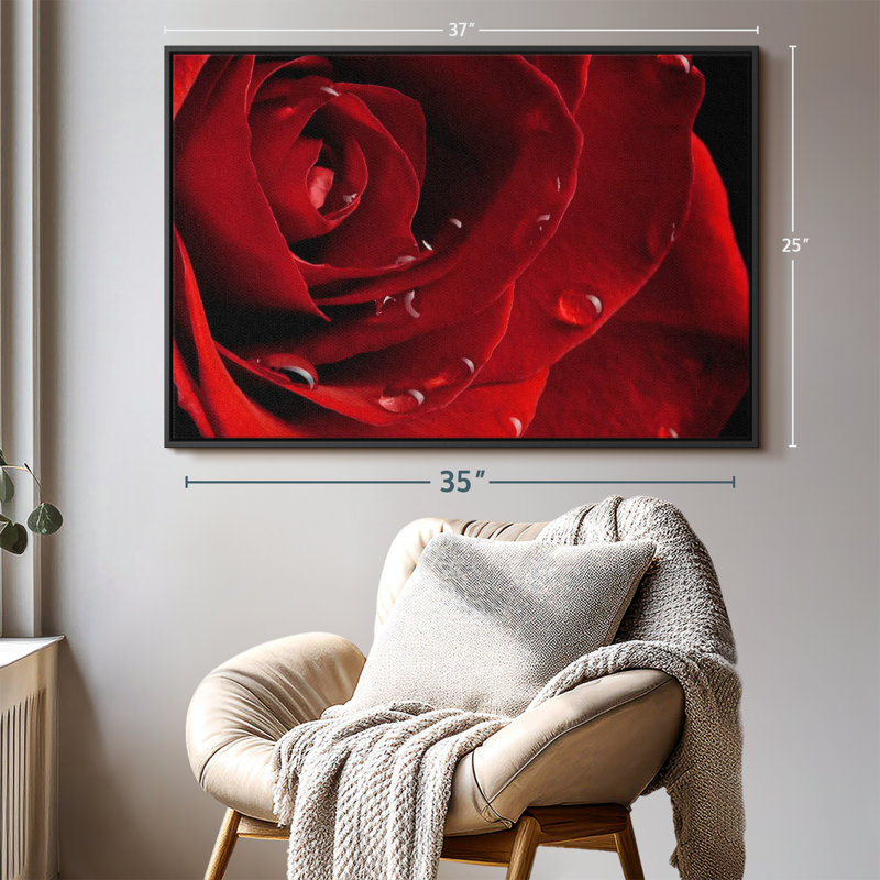 Impression sur toile Fresh Red Rose, H 25 po x l 37 po