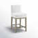 Bethea Upholstered Counter Stool (Set of 2)