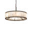 6 - Light Chandelier