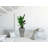 Planter Box-50844504-50844506