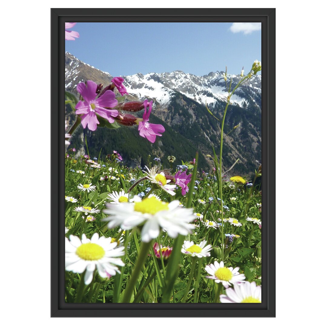 Gerahmtes Wandbild Wunderschöne Blumen Alpenwiese