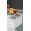 Bol pour chien