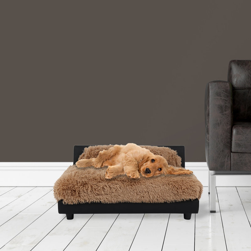 Canapé pour chien Soho, Grand (l 34 po x P 29 po x H 16 po), Chameau