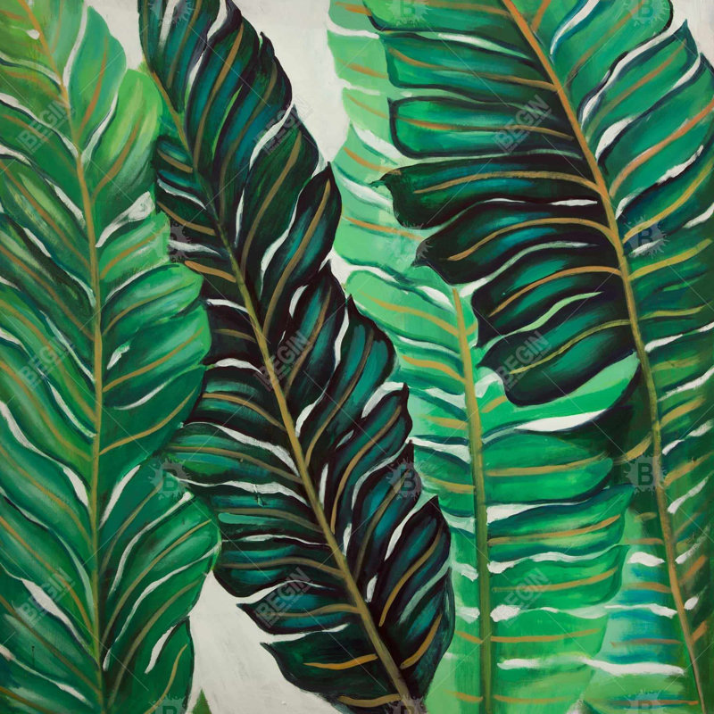"Plusieurs feuilles de plantes exotiques"