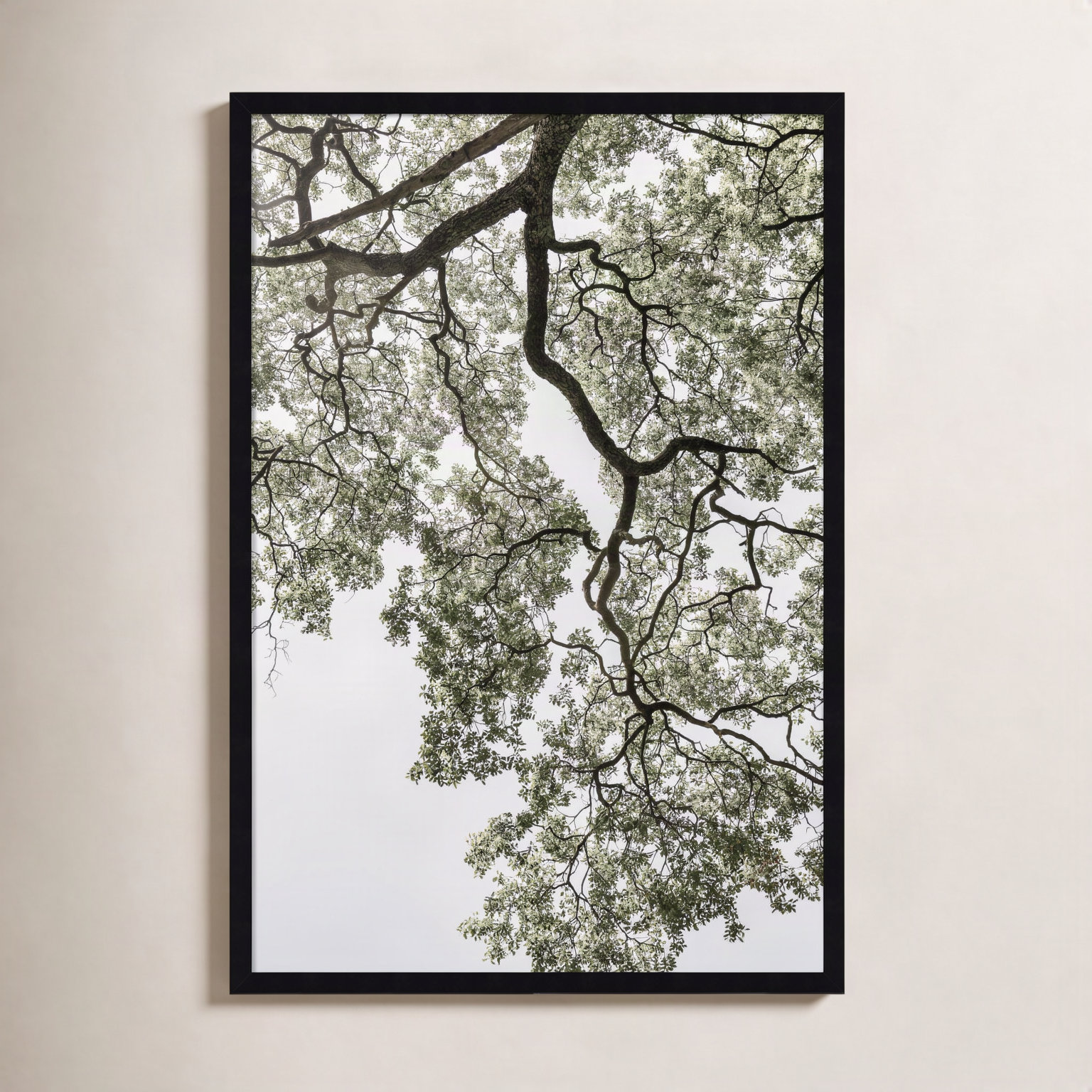 Pleasantville "Coastal Forest" Print, Black, 33" H x 23" W