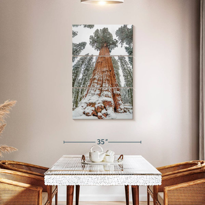 Harnek Wintry Sequoia Tree, 45" H x 28" W