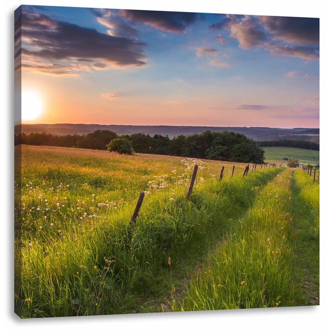 Leinwandbild Wunderschöne Bergwiese im Sonnenaufgang