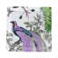 Audubon Exotica Cotton Sateen Cocktail Napkins-1754039005