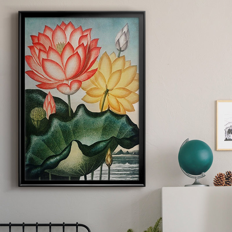 Temple of Flora V, reproduction encadrée de qualité supérieure - prête à être accrochée, H 24,5 po x l 18,5 po x P 1 po, Noir