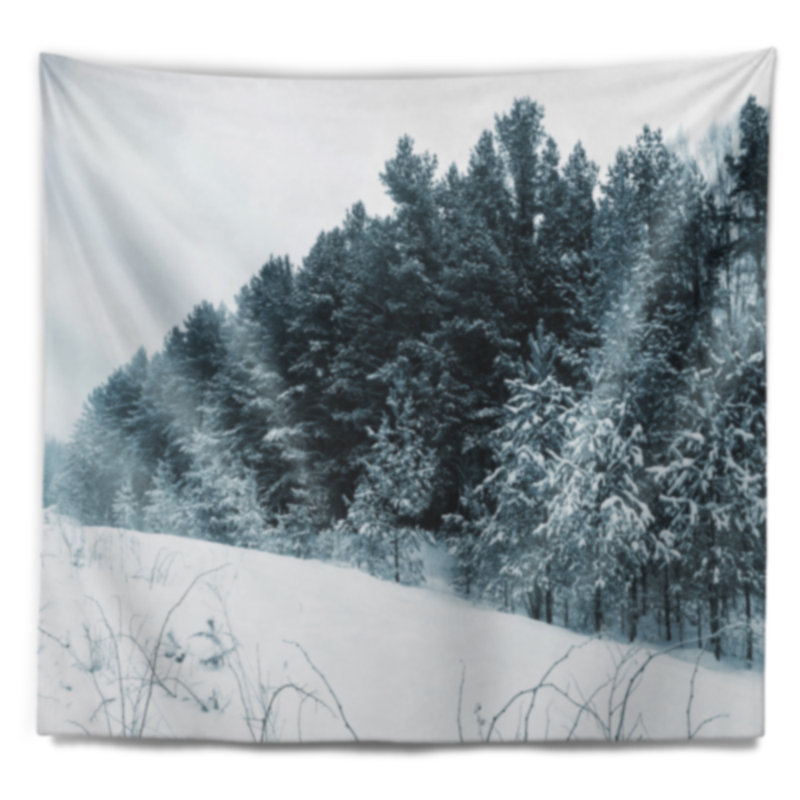 Tapisserie paysage paysage d'hiver foncé, H 50 po x l 60 po