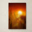 « nature time machine », reproduction de photo sur toile tendue encadrée-14808159