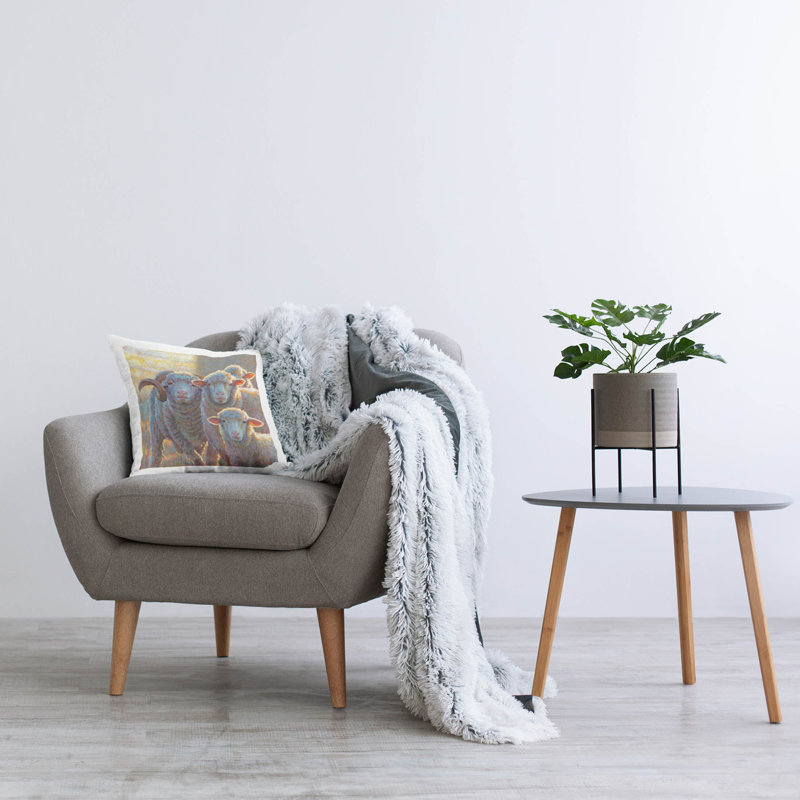 Throw Pillow