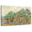 Senne The Olive Orchard-107719566