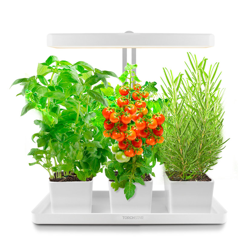 Indoor Garden Kit, Height Adjustable Herb & Kitchen Garden Grow Light, Auto-timer Function