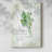 Fresh Parsley -Gallery Wrapped Cavas-1148753432